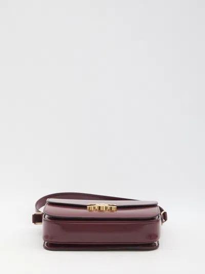 Celine Triomphe Classique Leather Crossbody Bag