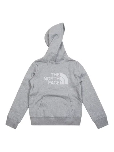 The North Face Drew Peak Hoodie In Gray
