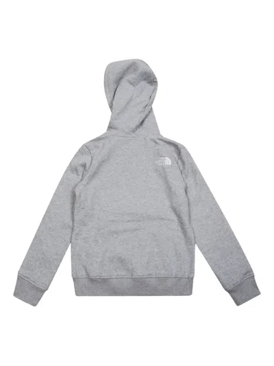 The North Face Drew Peak Hoodie In Gray