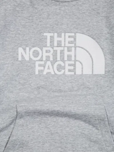 The North Face Drew Peak Hoodie In Gray