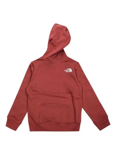 The North Face Drew Peak Hoodie In Red