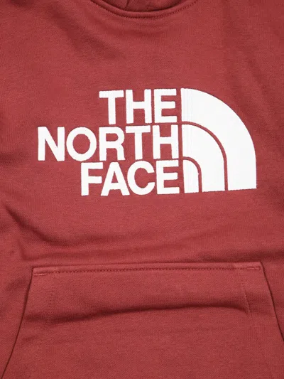 The North Face Drew Peak Hoodie In Red