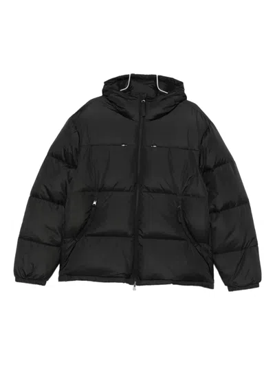 Hiking Patrol Element Hooded Padded Jacket In Black