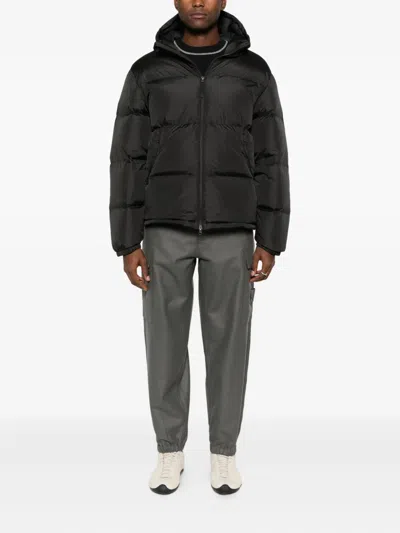 Hiking Patrol Element Hooded Padded Jacket In Black