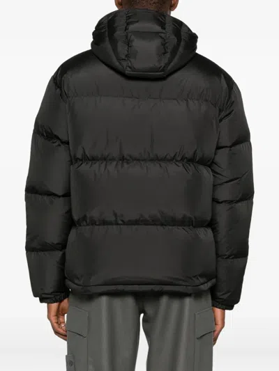 Hiking Patrol Element Hooded Padded Jacket In Black