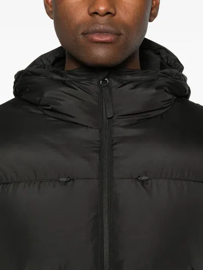 Hiking Patrol Element Hooded Padded Jacket In Black