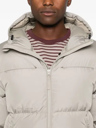 Hiking Patrol Element Hooded Padded Jacket In Neutral