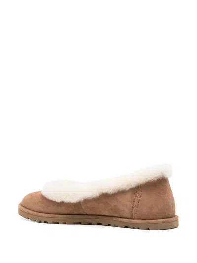 Ugg Minimalist Brown Flat Shoes With Smooth Rounded Toe