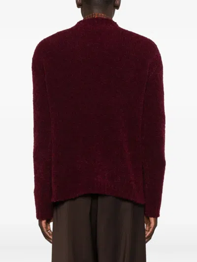Amaranto Crew Neck Sweater In Brown
