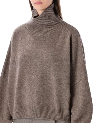 Loulou Studio Loulou Loulou De Saison Luke Wool-cashmere Stand Collar Sweater In Brown