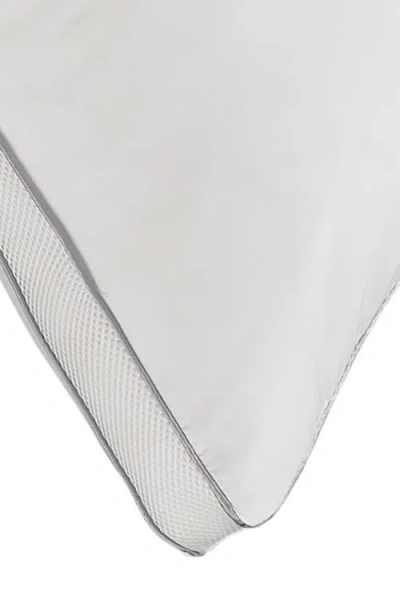 Ella Jayne Home Memory Fiber Pillow Cotton Luxurious Mesh Gusseted All Sleeper Standard Pillow In White