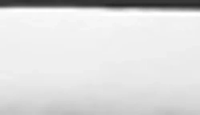 Ella Jayne Home Memory Fiber Pillow Cotton Luxurious Mesh Gusseted All Sleeper Standard Pillow In White