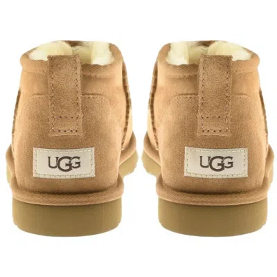 Ugg Biscuit Suede Classic Ultra Mini Ankle Boots In Brown