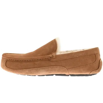 Ugg M Ascot Suede Moccasins In Brown
