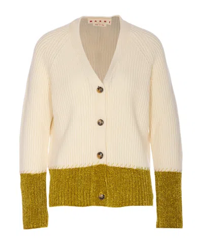 Marni Long Sleeve V-neck Knitted Cardigan In Neutral