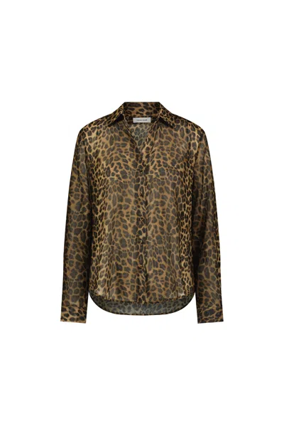 The Noli Shop Ana Chiffon Blouse In Brown