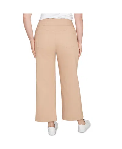 Ruby Rd. Plus Size Embroidered Stretch Pull On Pants In Brown