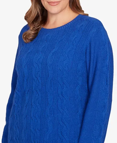 Ruby Rd. Plus Size Mixed Cable Cozy Sweater In Blue