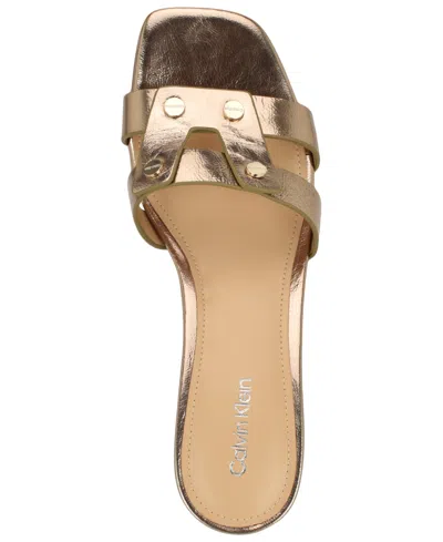 Calvin Klein Women's Andrae Slip-on Block Heel Sandals In Brown
