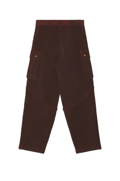 Isa Boulder Blaze Cargo Pants In Brown