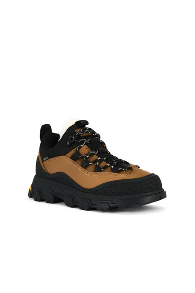 Ugg Metrotrek Hiker Sneakers In Brown