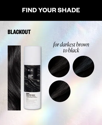 Igk Hair Never Miss Root And Scalp Blackout Touch-up Spray In Black