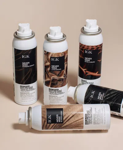 Igk Hair Never Miss Root & Scalp Touch Up Spray - Blackout 2 Oz. In Brown