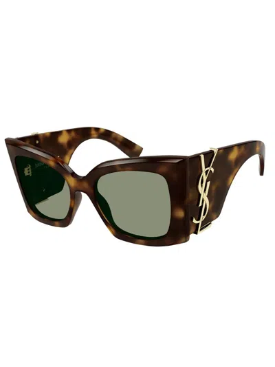 Saint Laurent Sl M119 Oversized Cat-eye Sunglasses In 002 Havana Havana Green