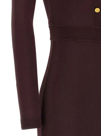 Elisabetta Franchi 'red Carpet' Dress In Brown