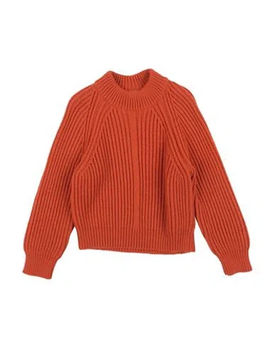 Dondup Toddler Boy Sweater Orange Size 4 Merino Wool, Polyacrylic In Orange