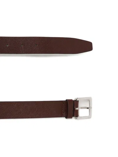 Orciani Saffiano Basic Belt In Brown