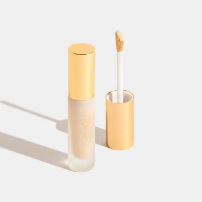 Ogee Complexion Perfecting Concealer - Fir 0.02w In Neutral