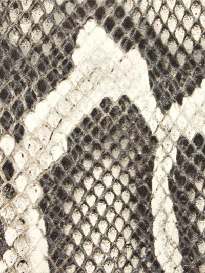 Roberto Cavalli Rock Python Print Chain Shoulder Bag In Gray