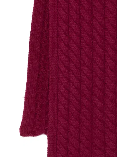 Arte Antwerp Cable-knit Scarf In Burgundy