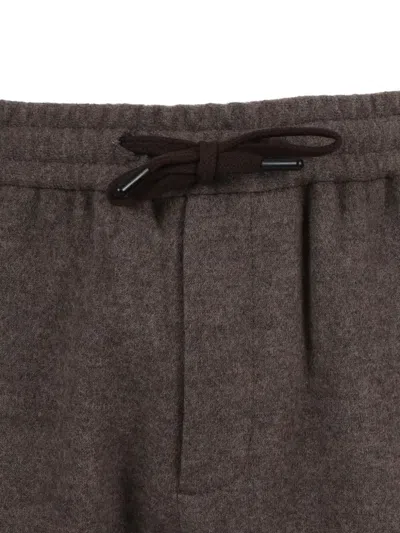 Circolo 1901 Tailored Cuffed Wool Pants With Structured Fit In Brown