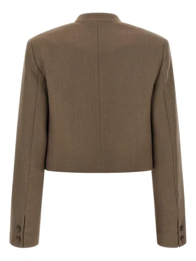 Fabiana Filippi Cropped Pinstripe Jacket In Brown