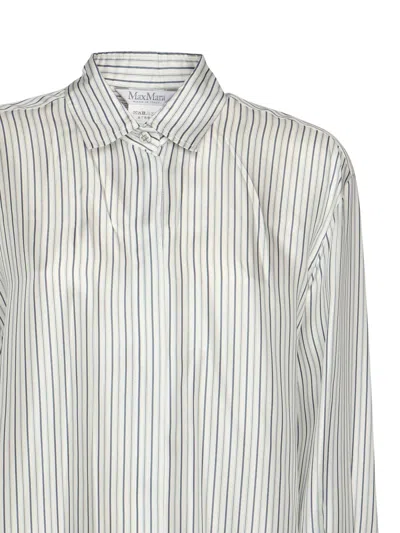 Max Mara Striped Long Sleeve Collared Shirt In Gray