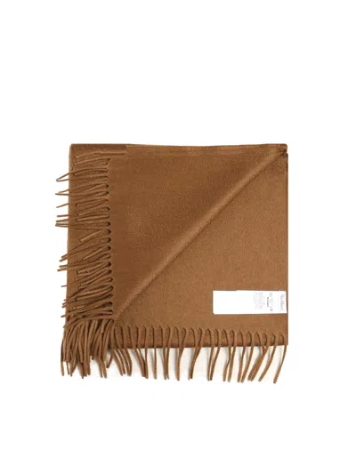 Max Mara Classic Big Scarf "baci" In Brown