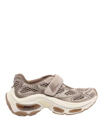 Ash Drake Sneaker In Nude