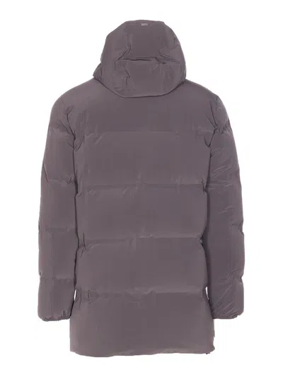 Herno Grey Down Jacket Zip Closure On The Front In Gray
