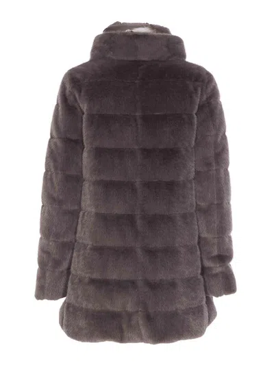 Herno Grey Down Jacket In Faux Fur With Hood In Brown