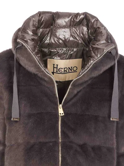 Herno Grey Down Jacket In Faux Fur With Hood In Brown