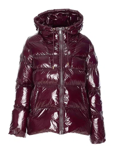 Pinko Eleodoro Down Jacket In Burgundy