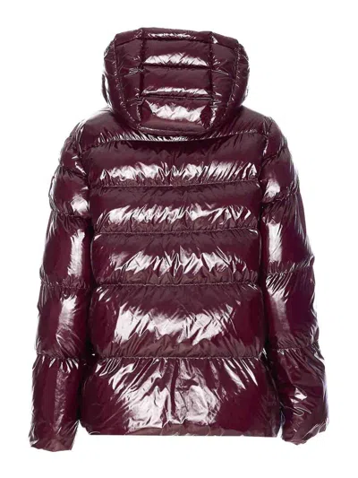 Pinko Eleodoro Down Jacket In Burgundy