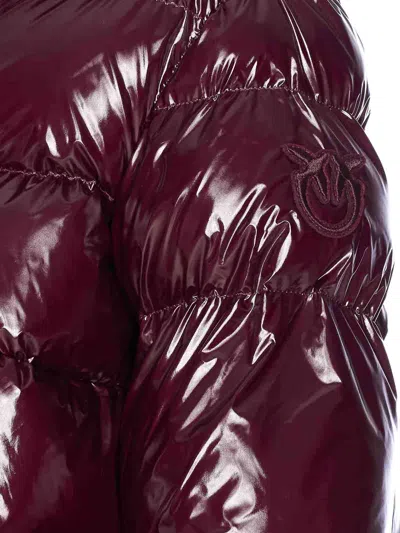 Pinko Eleodoro Down Jacket In Burgundy