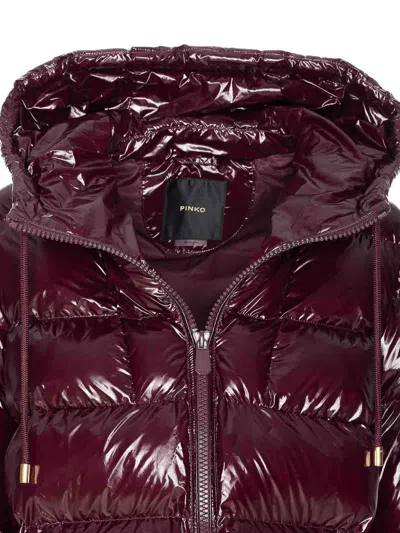 Pinko Eleodoro Down Jacket In Burgundy