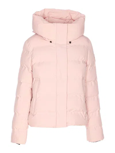 Save The Duck Pink Down Jacket Frontal Buttons Closure In Pink