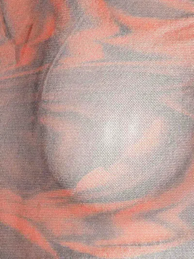 Jean Paul Gaultier Rose Mesh Floral Top In Orange