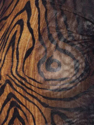 Jean Paul Gaultier Top The Wood In Tulle Stampato Donna In Multi