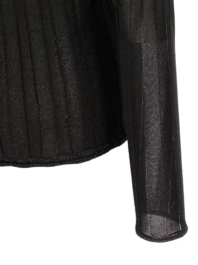 Fabiana Filippi Turtleneck Sweater With Ribbed Sheer Fabric In Black